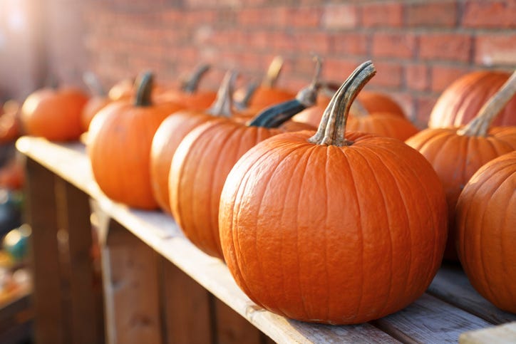 pumpkins