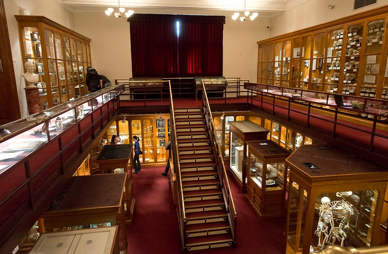 The Mütter Museum, dedicated to medical history, is known for its vast collection and human anatomical specimen displays.