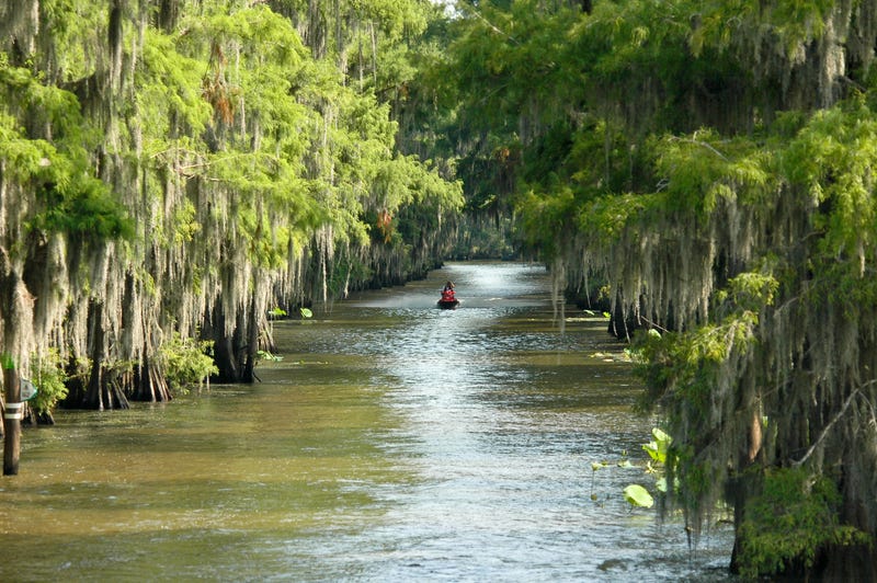 Caddo Lake