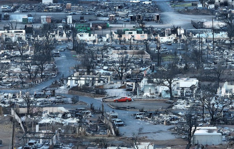 In an aerial view, burned cars and homes are seen in a neighborhood that was destroyed by a wildfire on August 18, 2023 in Lahaina, Hawaii. 