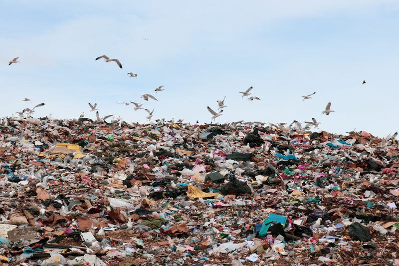 landfill