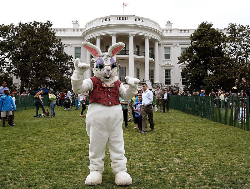 The Easter Bunny participates in the annual Easter Egg Roll at the White House