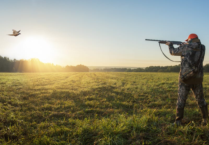 The annual Governor’s Pheasant Hunting Opener starts Friday in Ortonville Minnesota.