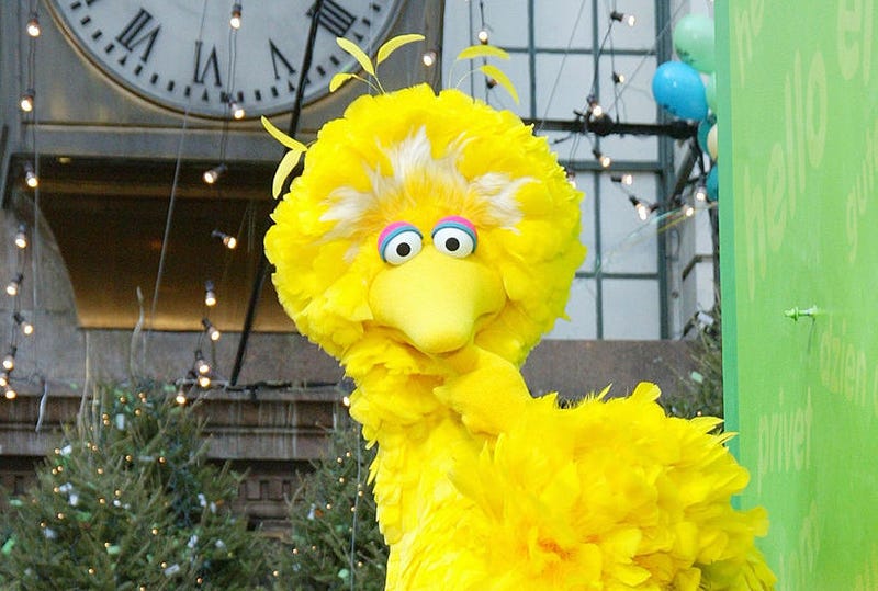 big bird