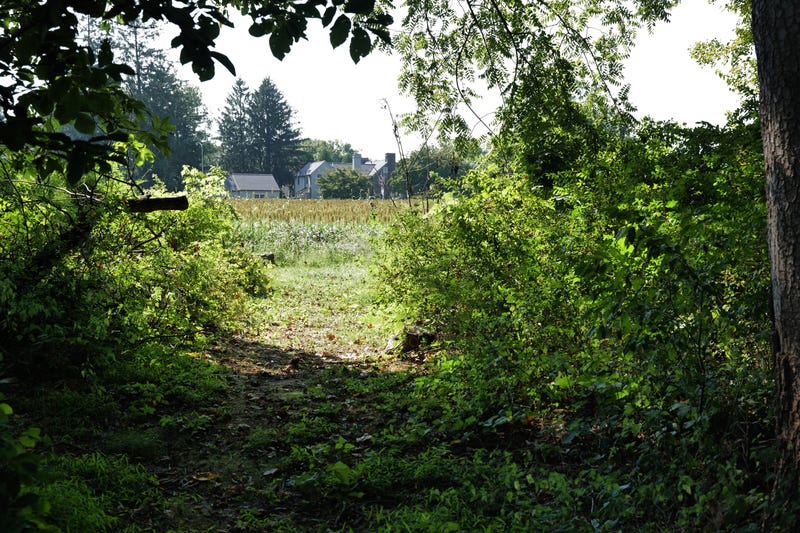 Farmland stands empty inside the perimeter of a search zone for escaped prisoner Danelo Cavalcante on Sept. 8, 2023, in Kennett Square, Pennsylvania.