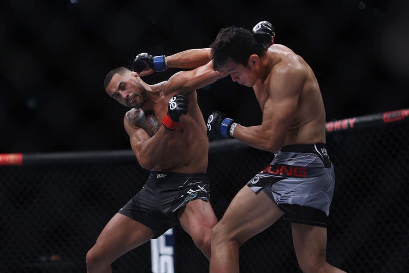 UFC 293