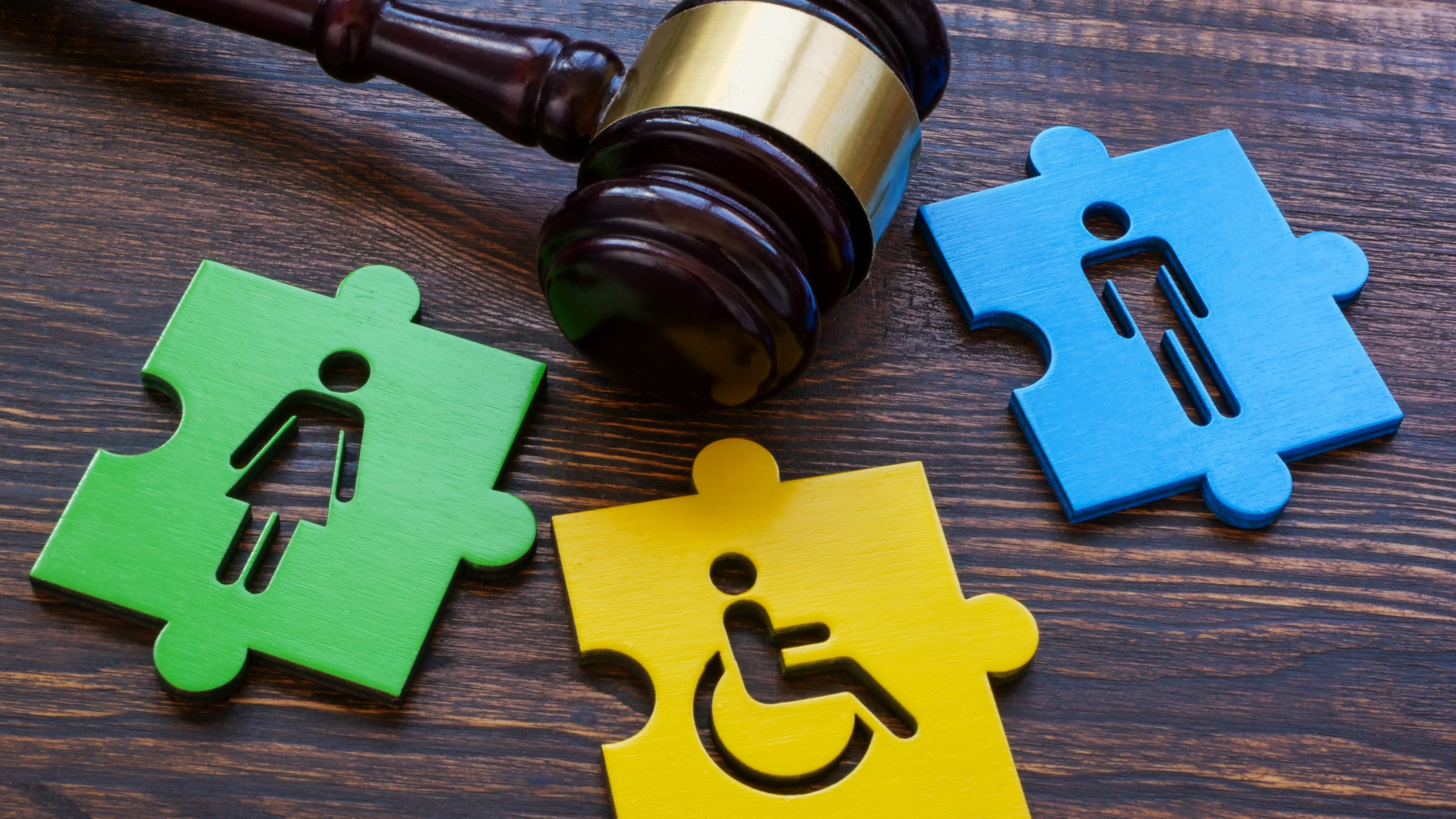 Who investigates abuse cases involving people with disabilities in NY?