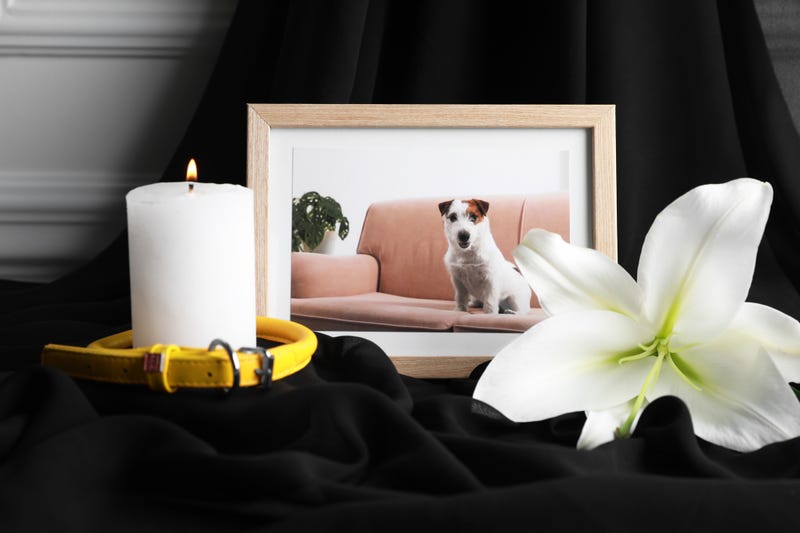 Pet funeral