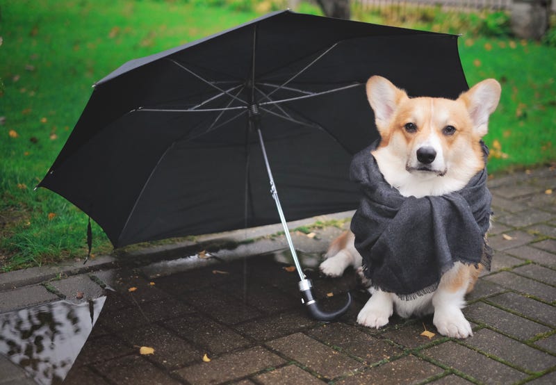 Approaching front to bring rain for part of weekend