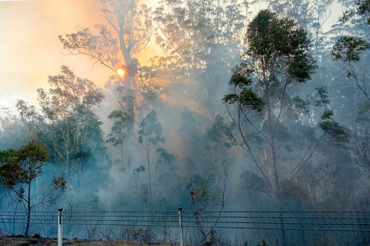 wildfire smoke