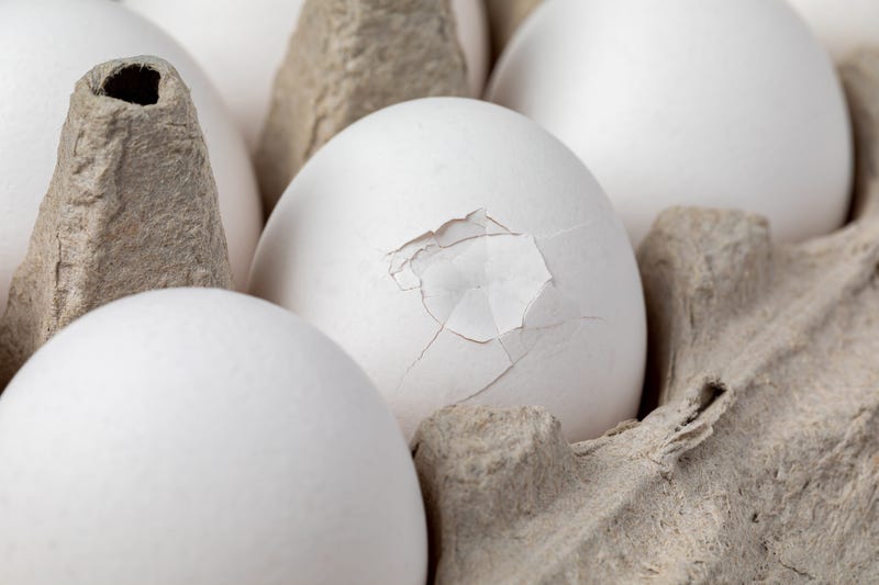 eggs.