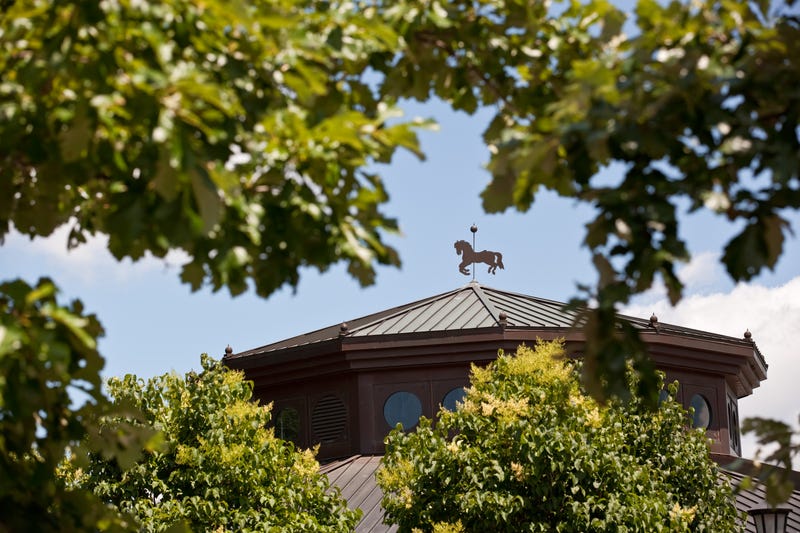 Carousel pavilion