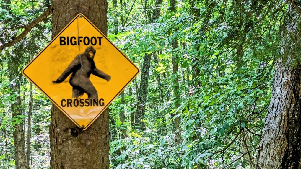 Study ranks Michigan as the 5th most likely place in North America to see Bigfoot