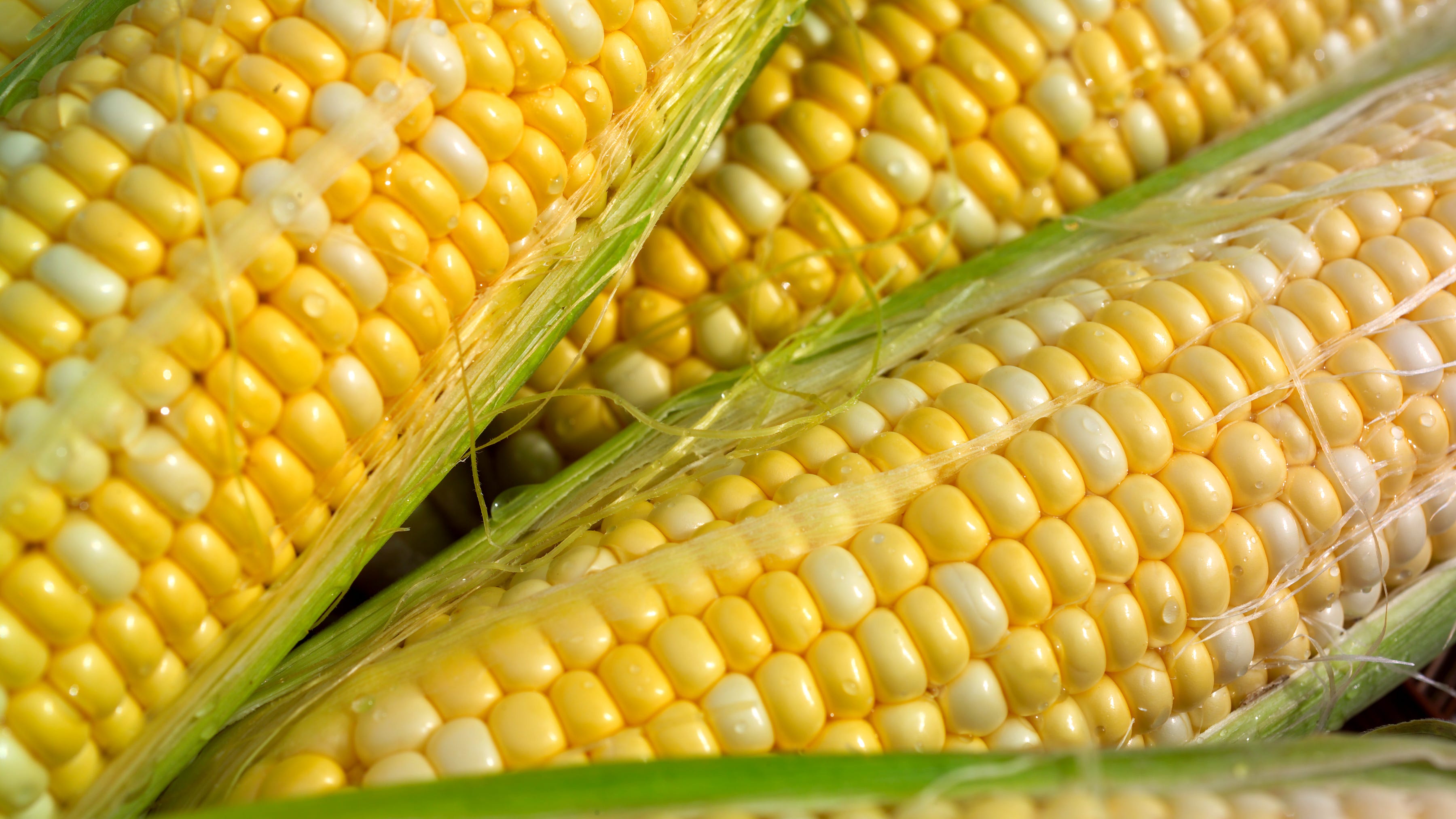 Illinois corn growers looking to pay more for promotion