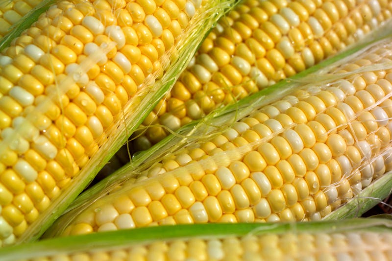 corn
