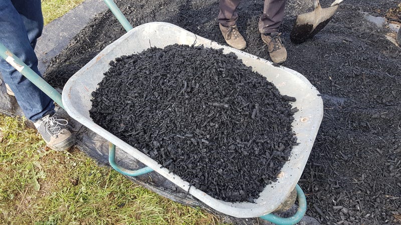 The City of Minneapolis is making a major investment into the biochar business.