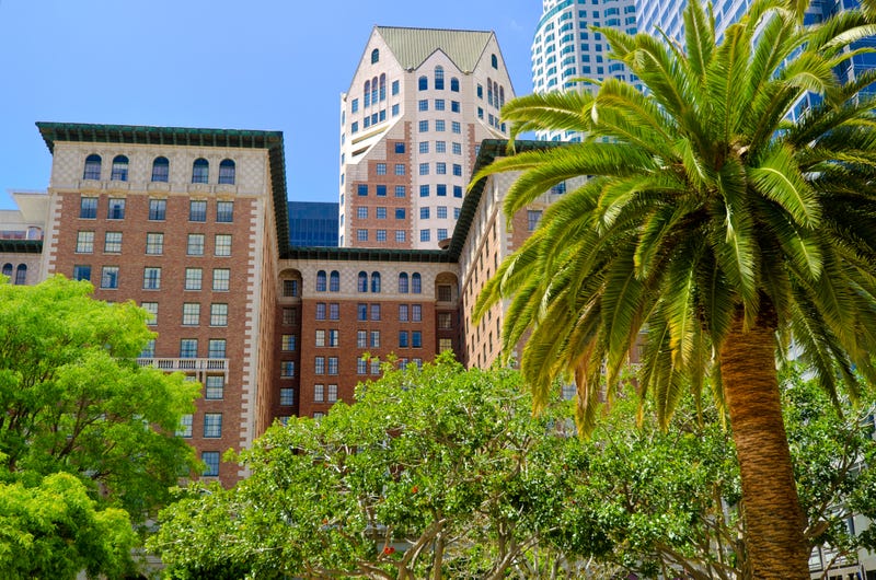 tall hotel behind palm trees