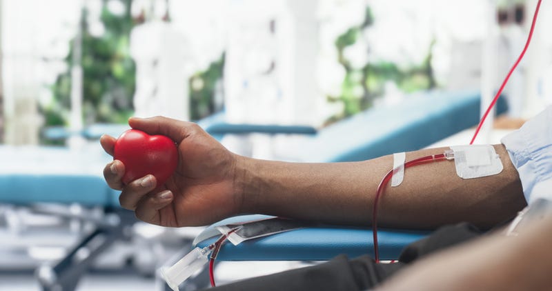 Close Up Shot Of Hand Of Male Blood Donor With an Attached Catheter. Black Man Holding Heart-Shaped Red Ball To Pump Blood Through The Tubing Into Bag. 