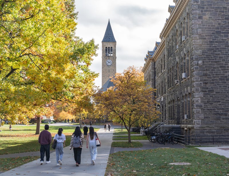 University campus with students on a sidewalk