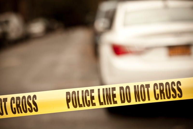 Investigation