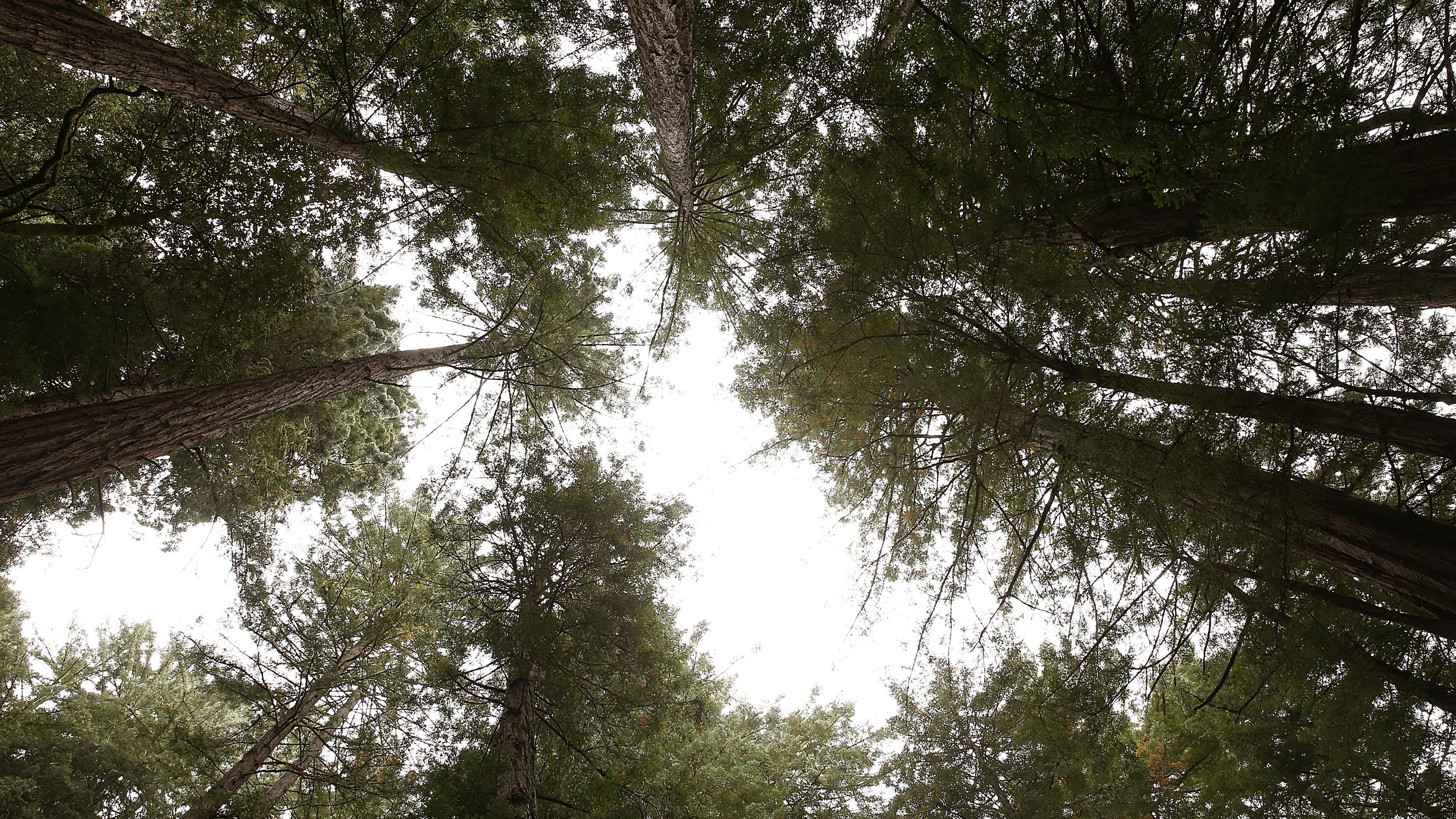 Hiker finds skeletal remains outside Fairfax