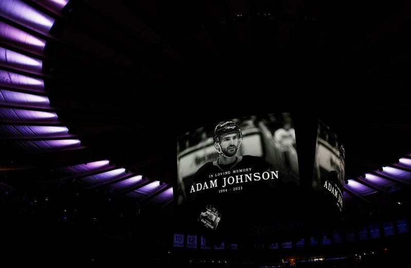 Adam Johnson, Manslaughter, Hockey