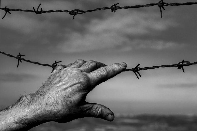 101-year-old Holocaust survivor is speaking for the 6 million who no longer can