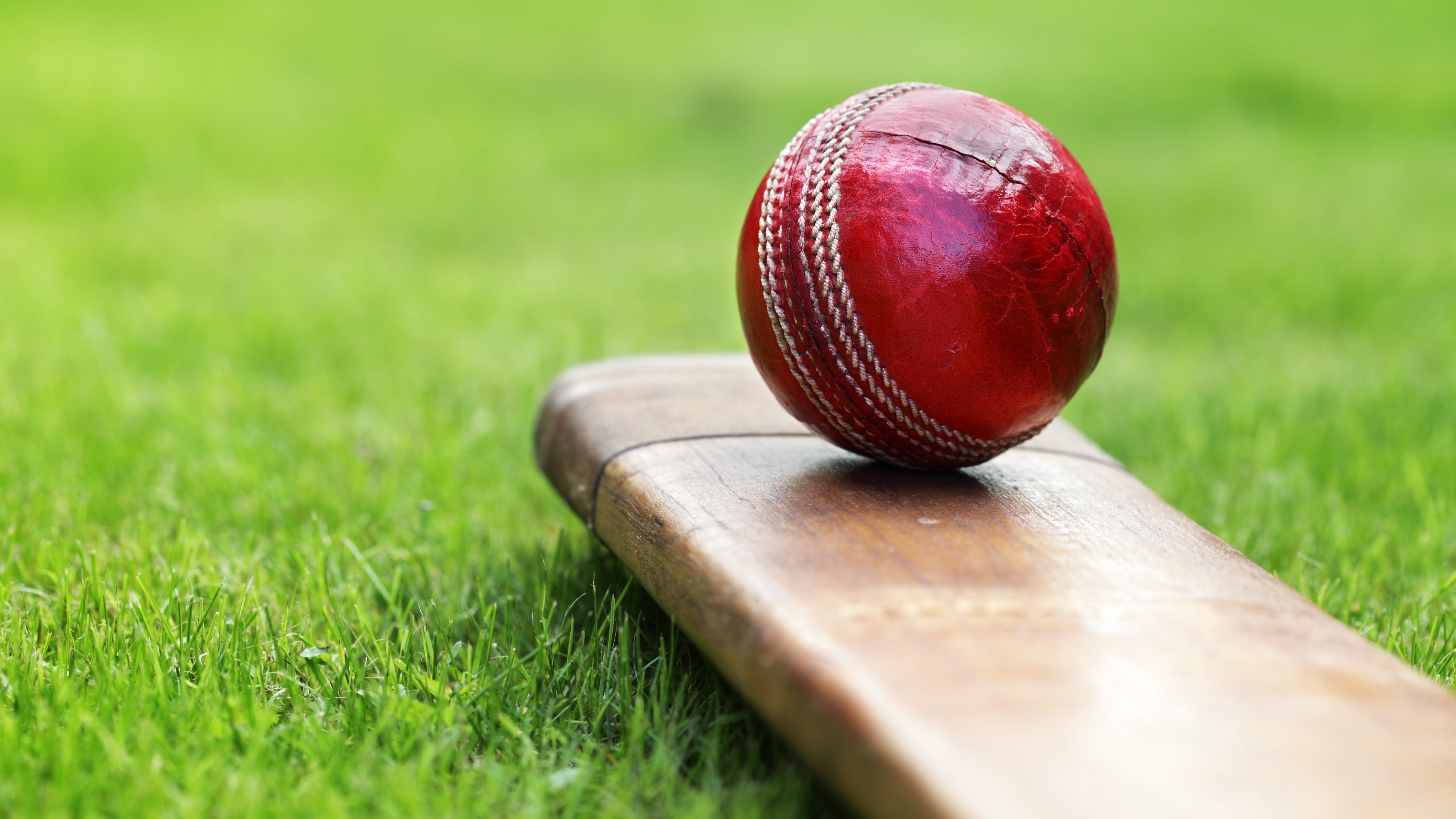Cricket could soon be an official Illinois high school sport