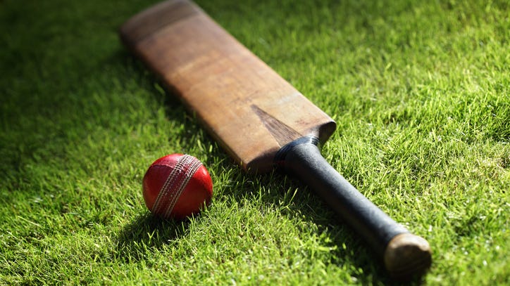 Dog steals ball in cricket match; named best fielder in Ireland