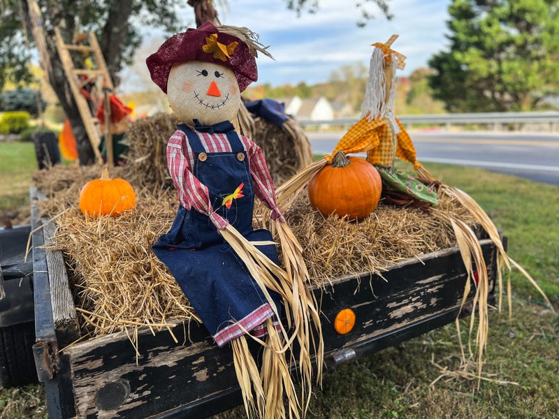 Scarecrow