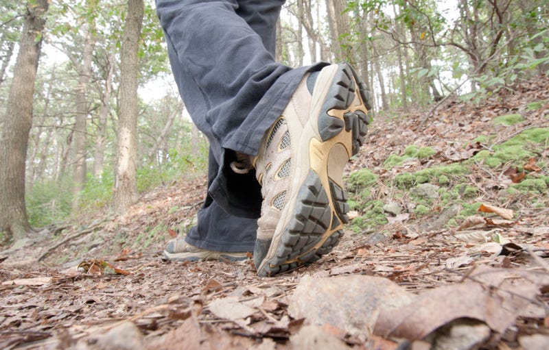 A hiker walks the Appalachian Trail in Pennsylvania.