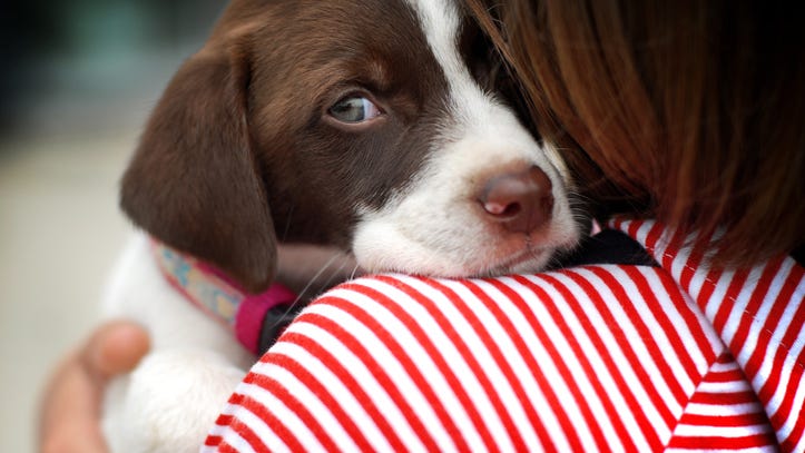 2-Year-Old With Cleft Lip Adopts Shelter Pup With Same Birth Defect