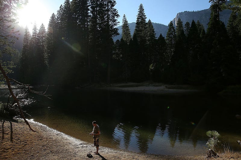 Officials have closed 28 miles of the Merced River after toxic algae blooms were detected.