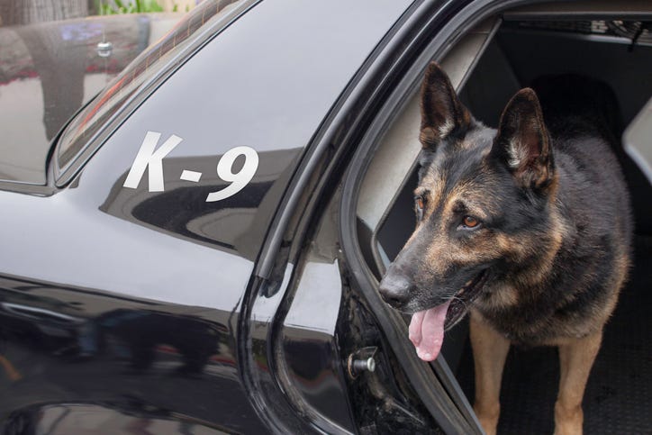 K9 officer vehicle