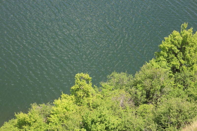 FILE: Shoreline