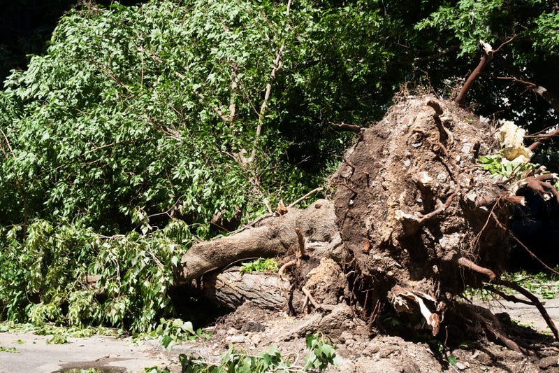 Fannin County tornado causes a lot of damage but no injuries