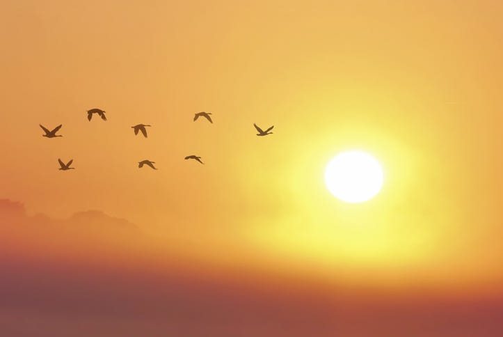 hazy sky with sun shining