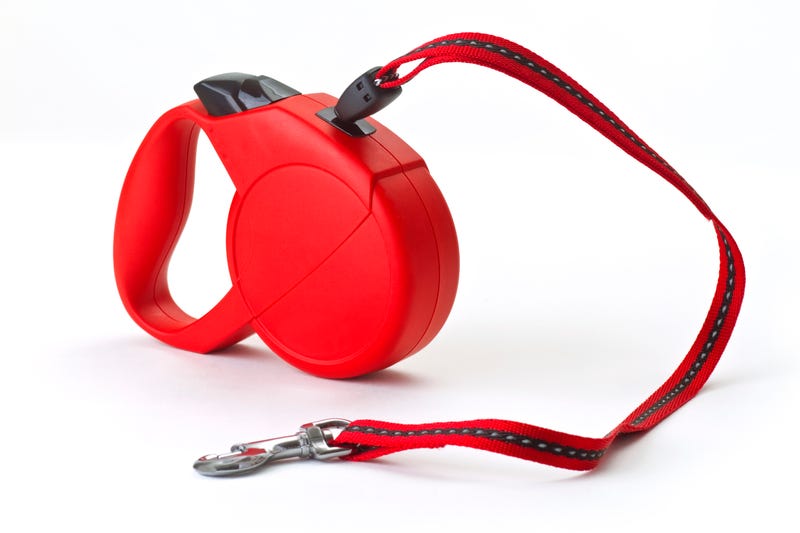 Red retractable leash for dog