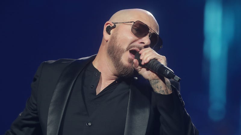 Pitbull