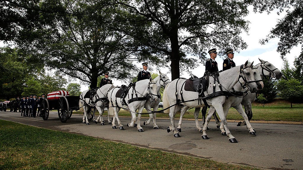 Army finds horses that pull coffins of American heroes living in unsanitary conditions