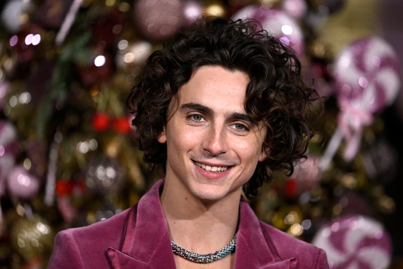 Timothée Chalamet