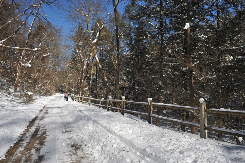 Wissahickon Valley Park in Winter, Philadelphia
