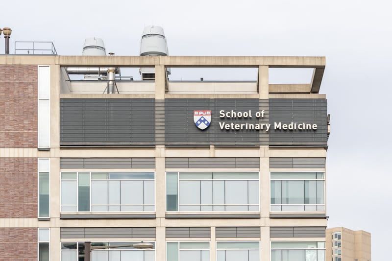 Penn Vet