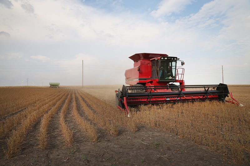 Farmers and meat producers across the U.S. can expect the new tariffs on Mexico, Canada and China and the retaliatory action from those countries to hurt their bottom lines by billions of dollars if they stay in place a while, and consumers could quickly see higher prices for produce and ground beef.