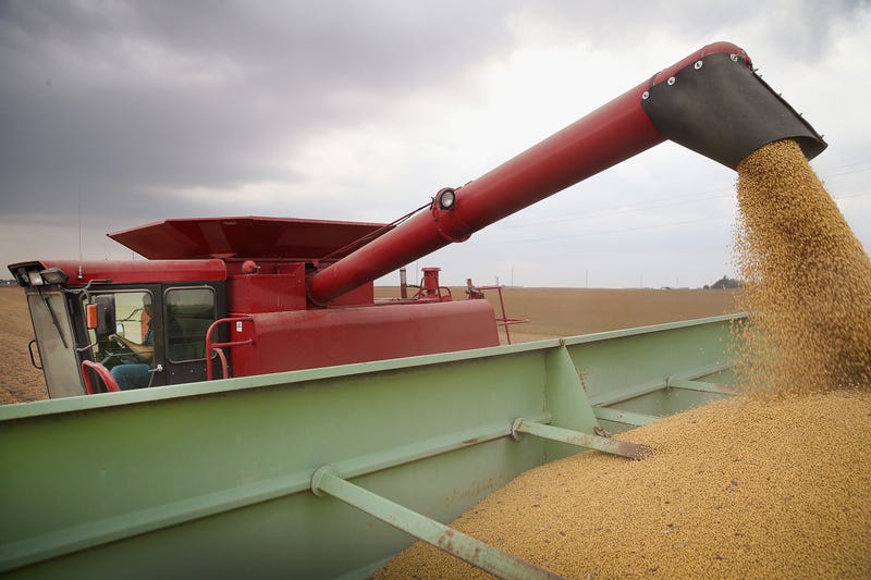 Greg Porth harvests soybeans near Worthington, Minnesota. A White House official says President Donald Trump is planning a $12 billion aid package for U.S. farmers who have struggled to sell their crops while getting hit by rising costs after the president raised tariffs on China as part of a broader trade war.