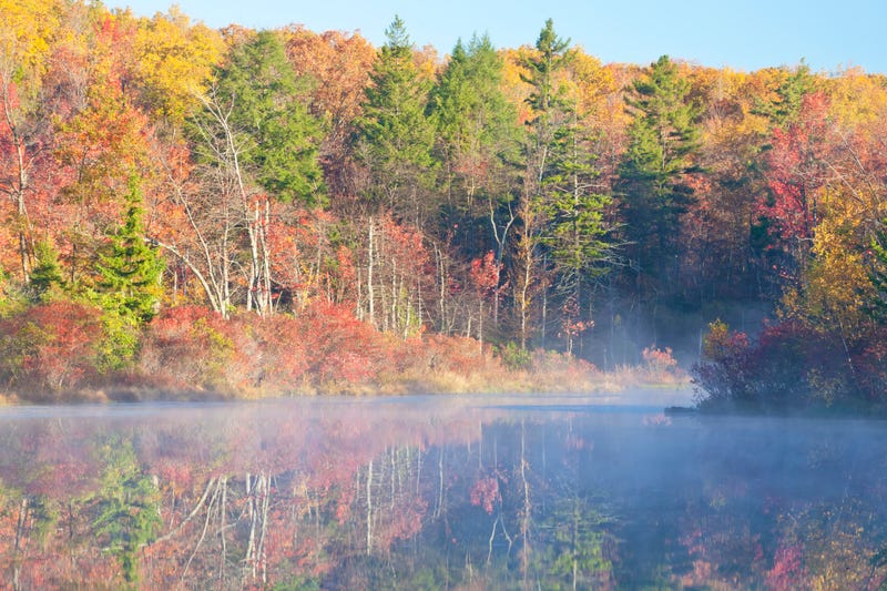Autumn leaves in the Poconos
