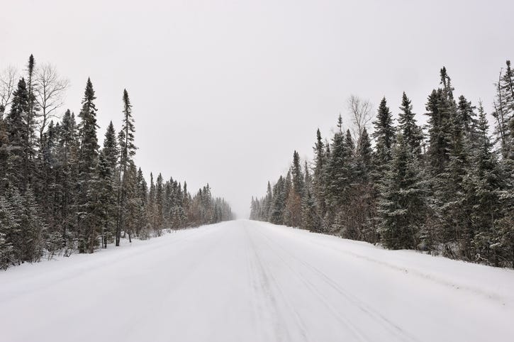 Snowy road with pine trees.