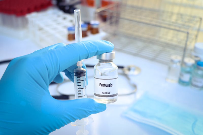 Whooping cough cases in Louisiana in 2025 have eclipsed 2024's total