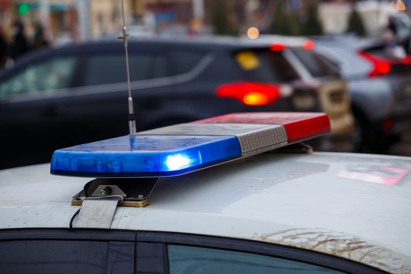 Police vehicle