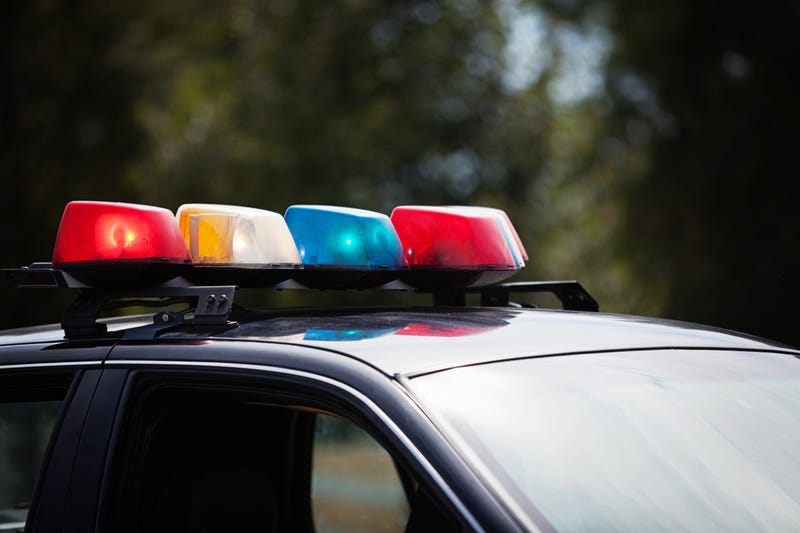 FILE: Police lights
